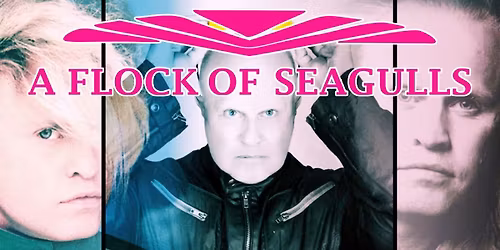 A Flock of Seagulls