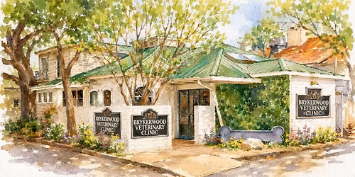 Brykerwood Open House
