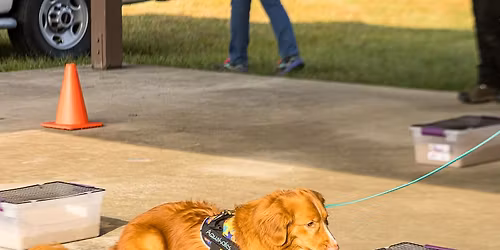 MDTC November Scent Work 2025