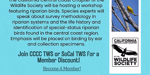 Riparian Bird Workshop