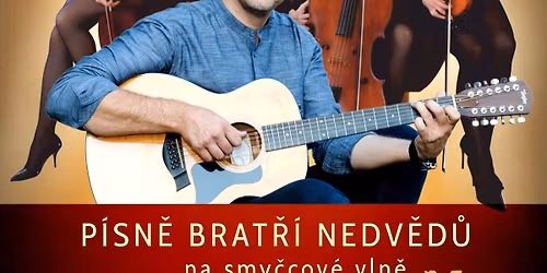 VOJTA NEDV\u011aD + HOUSLOV\u00c9 KVARTETO FASHION STRINGS