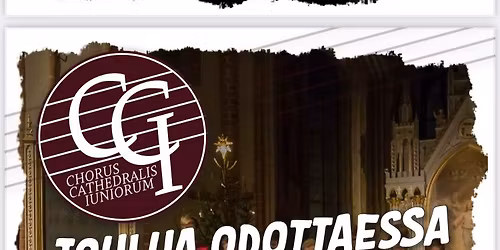 Joulua odottaessa - Turun tuomiokirkon poikakuoron ja kuorokerhon pieni joulukonsertti