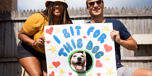 Sit for Shelter Pets 2026
