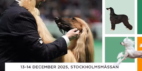 STOCKHOLM HUNDM\u00c4SSA 2025