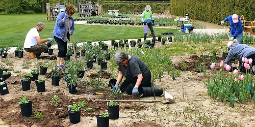 MELT for Gardeners