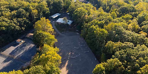 Santa + Pony Photo Sessions