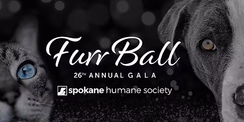 26th Annual Gala, FurrBall