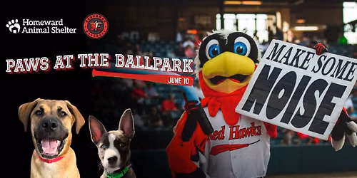 Paws at the Ballpark