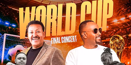 World Cup Final Concert