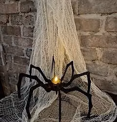 Webs & Bones