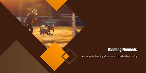 Ajulyty - OneMind Dogs handling elements