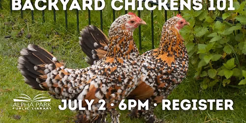 Backyard Chickens 101
