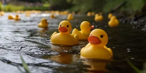 Rotary Tillsonburg Duck Race - 2026