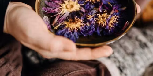 Lunology . Full moon immersion