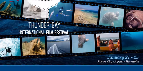 Thunder Bay International Film Festival