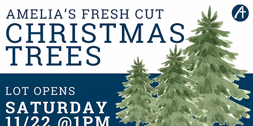 Christmas Tree Fundraiser