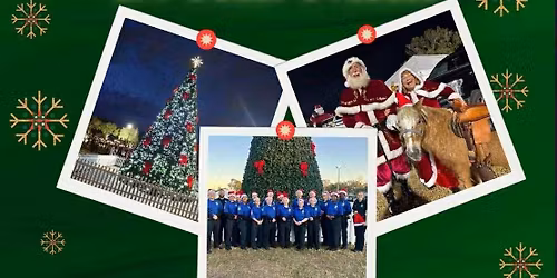 farm stand at the park