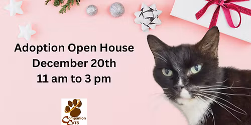 Cat Adoption Open House