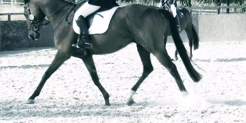 Dressage Competition 2nd of the Winter League 16.11.25 Open to all