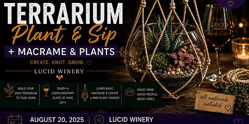 Macram\u00e9 Terrarium Plant & Sip Experience