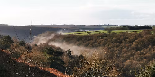 January Sunday Walk - Dalby Forest and The Bridestones - 10miles\/16km