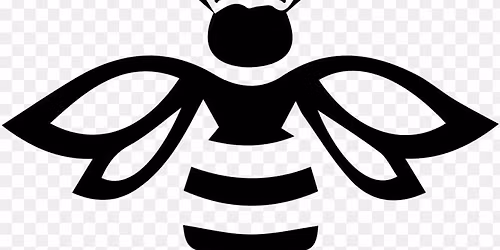 American Honey Band live at OLPH Brewery 