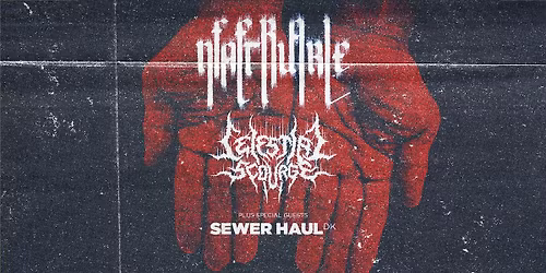 Feral Nature \/\/ Celestial Scourge \/\/ Sewer Haul