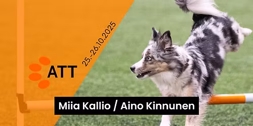 ATT lokakuun kisat 2025
