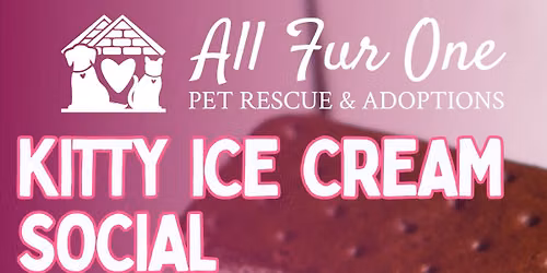 Kitty Ice Cream Social