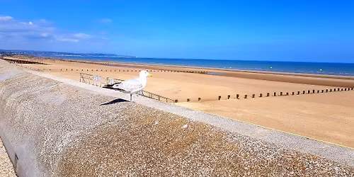 Christmas celebration of life and friends