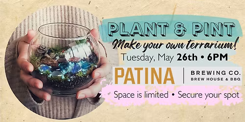 Plant & Pint - Make your own Terrarium!