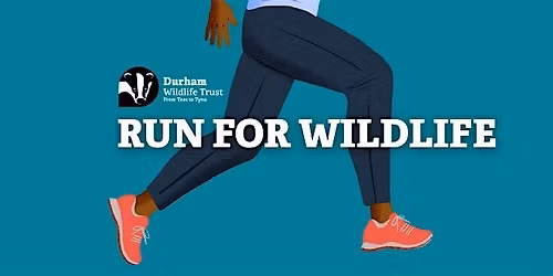 Durham City Runs 2026 Place