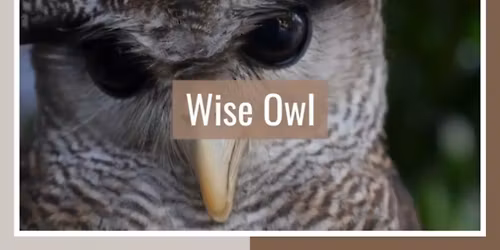 Wildlife Trivia in the Park