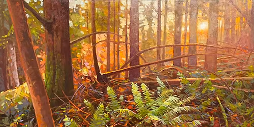 Light Through the Forest | New work from Graeme Shaw