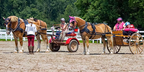 Driving Fun Show