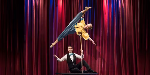 Rabbits Out of The Hat