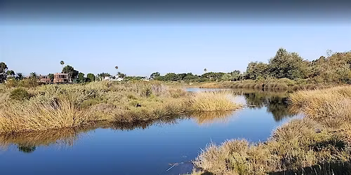 Malibu Lagoon Volunteer Weeding - California State Parks