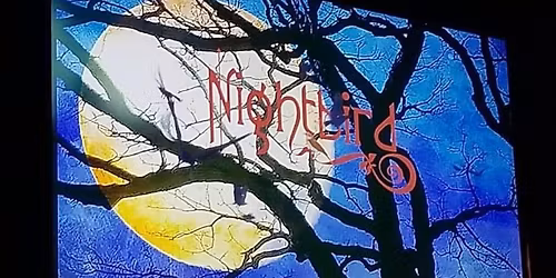 Nightbird at The Palace Theater - Bryan