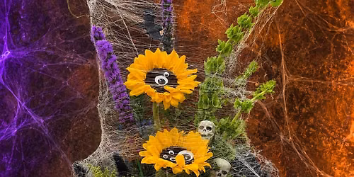 October Design Class - Spooky Halloween Boo-quet $89