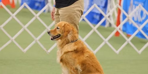 TMDTC Obedience Trial