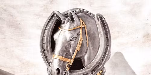 Havana shows Inhand & Ridden show 