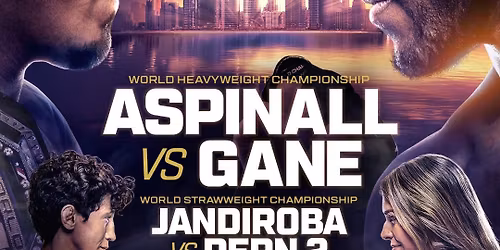 UFC 321 Corner Pocket Sports Bar 11 AM