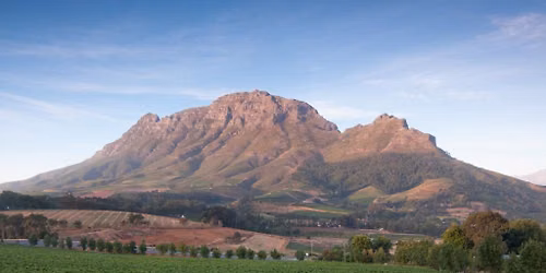 World of Wine: South Africa and the USA.