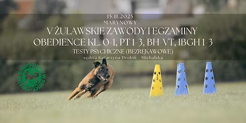 V \u017bu\u0142awskie Zawody i Egzaminy (Obedience, BH-VT, PT, IBGH, testy psychiczne)