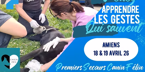 Formation aux Premiers Secours pour Chien et Chat \u00e0 AMIENS