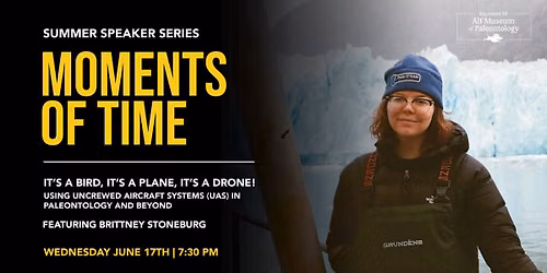 Moments of Time: It's a Bird, It's a Plane, It's a Drone!