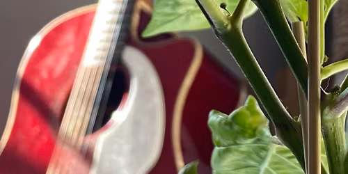 Richie BACK at Salt Hill Pub Lebanon