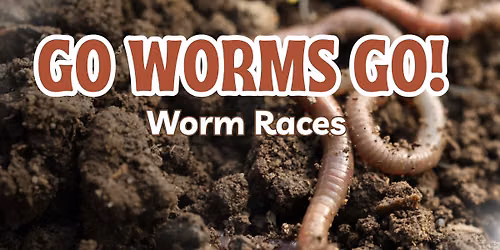 Go Worms Go! Worm Races