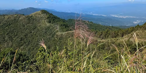 \u6de1\u862d\u53e4\u9053\u4e2d\u8def\u6696\u6771\u820a\u905310K \u9032\u968e\u6751