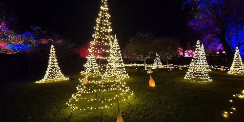 Carols around the Christmas tree